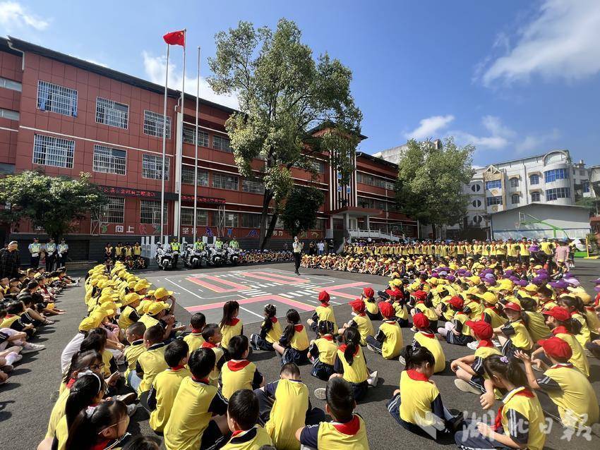 诚信在线为什么不能赢